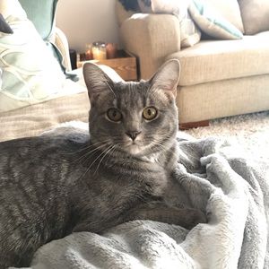 Meet your Posher, Lisa